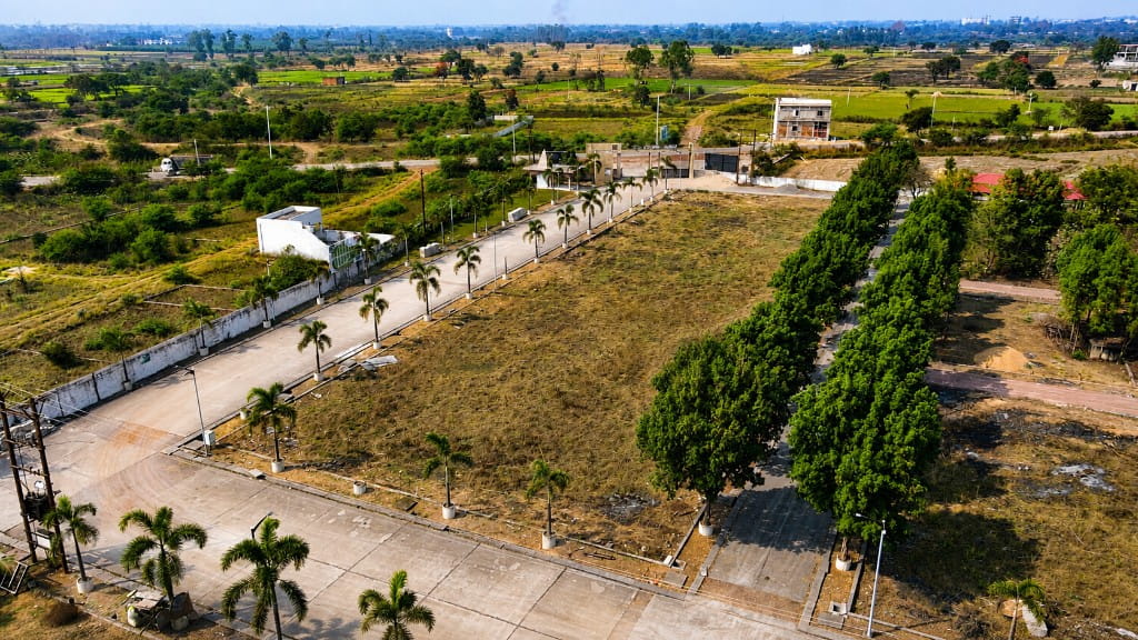 Plot & green belt