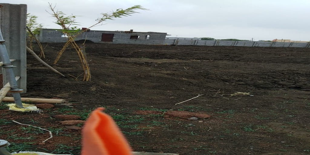Development view